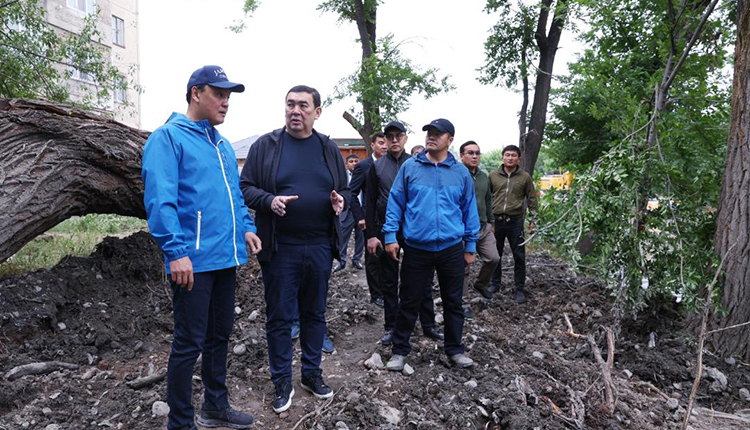 Открывают путь воде.  В Таразе проводится механическая очистка более 60 километров каналов