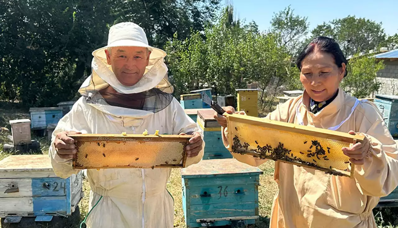 Полосатые труженицы