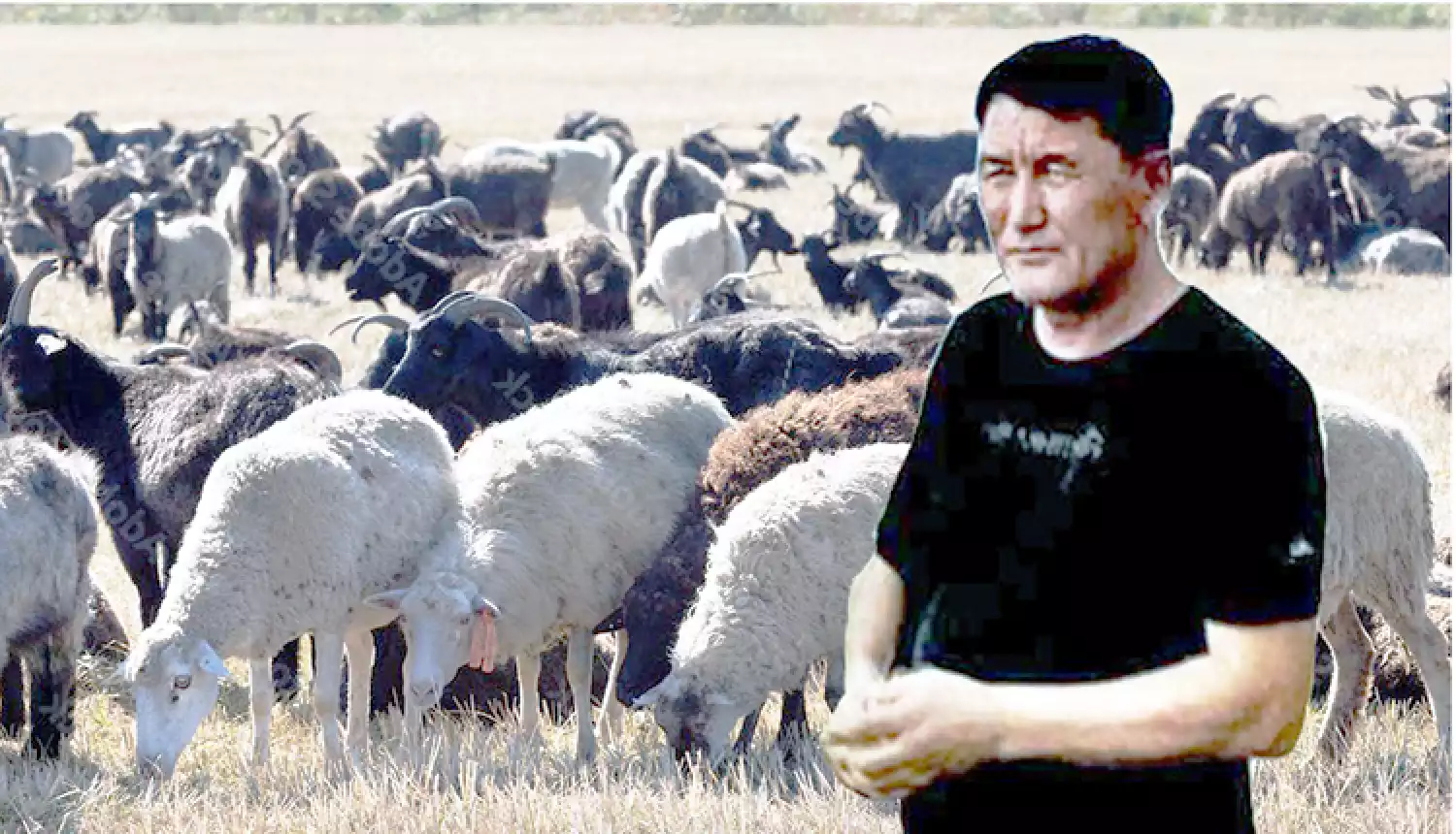 Не бизнес, а призвание