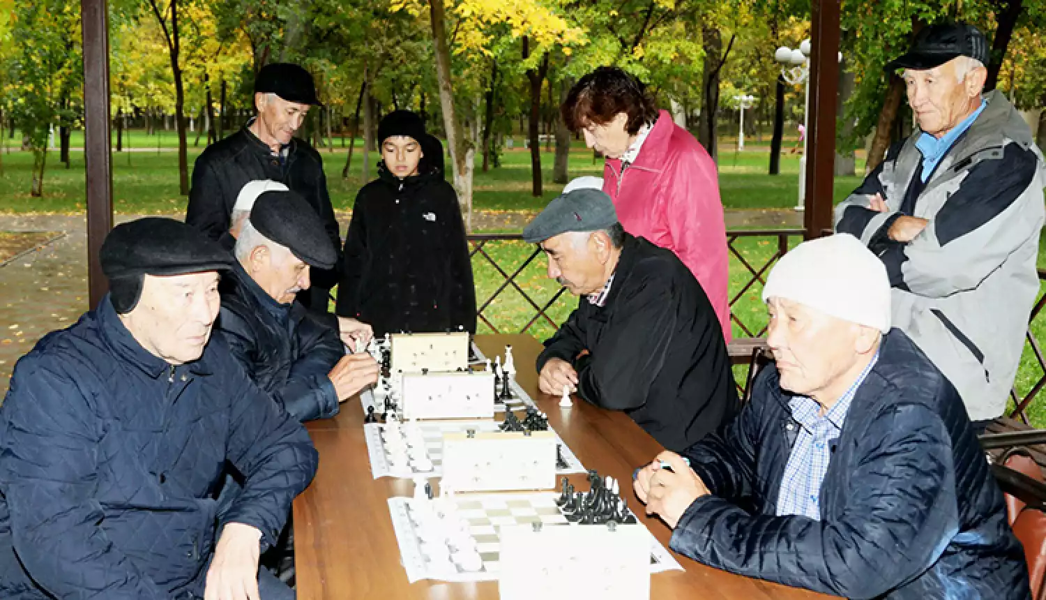 Сила мудрости