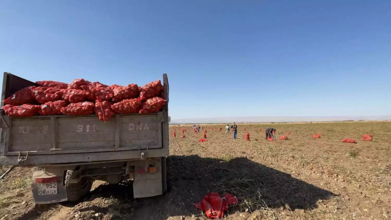 Убрать, вывезти,сохранить