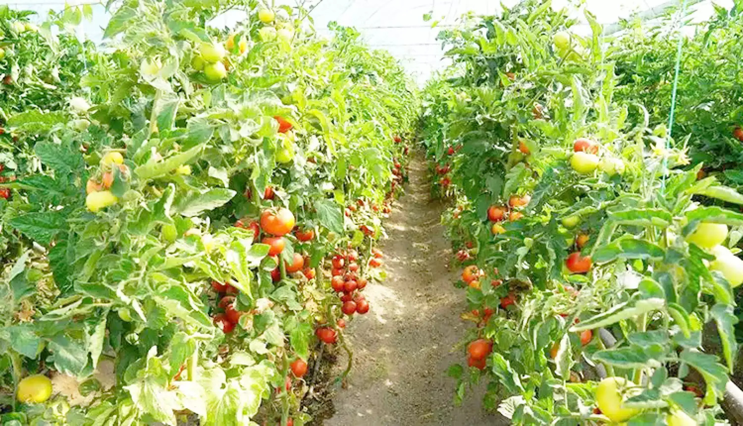 Показатели внушают уверенность
