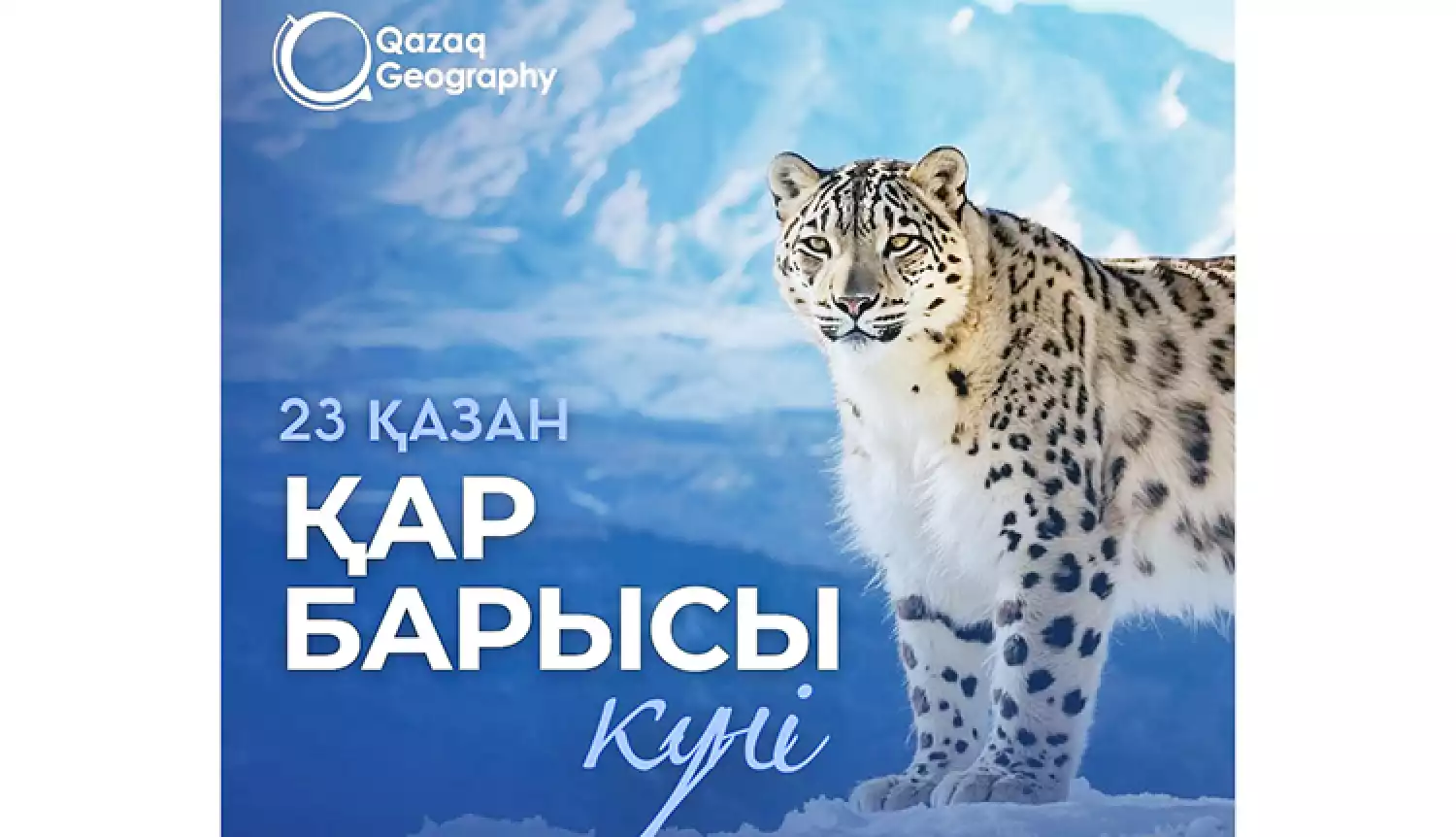 Снежный барс - не просто символ