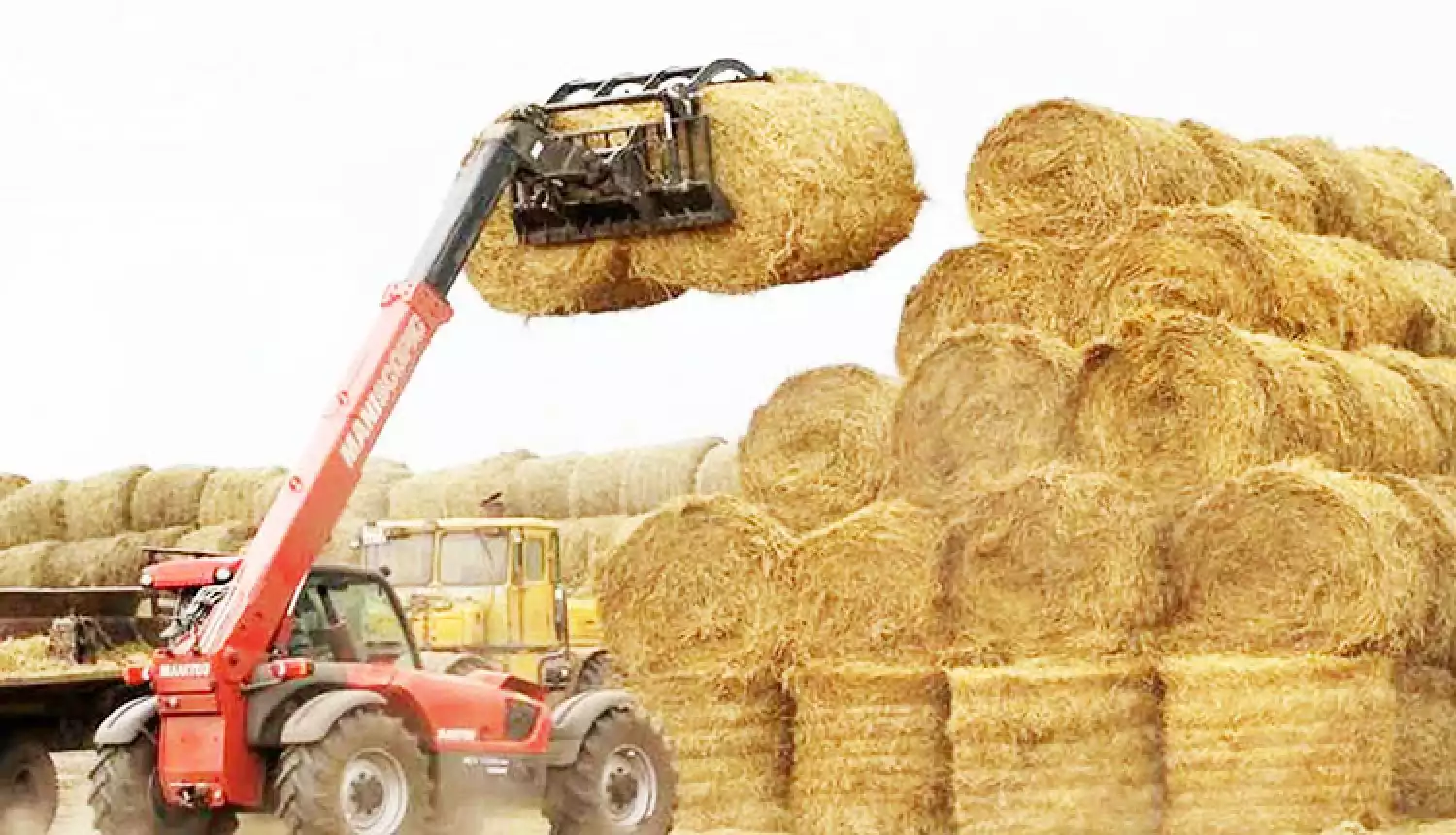 Сено, солома и комбикорма