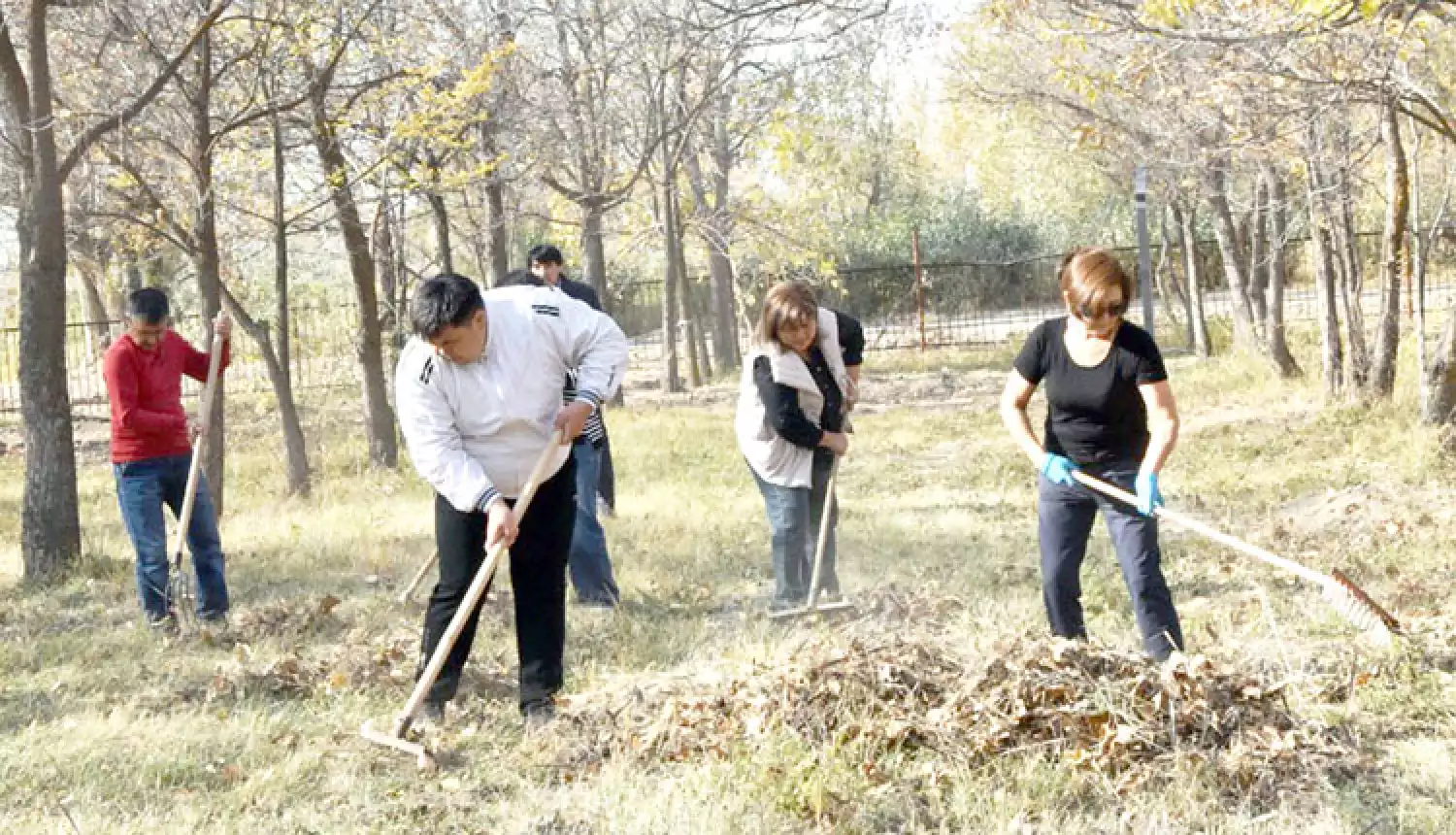 Будет чистым парк