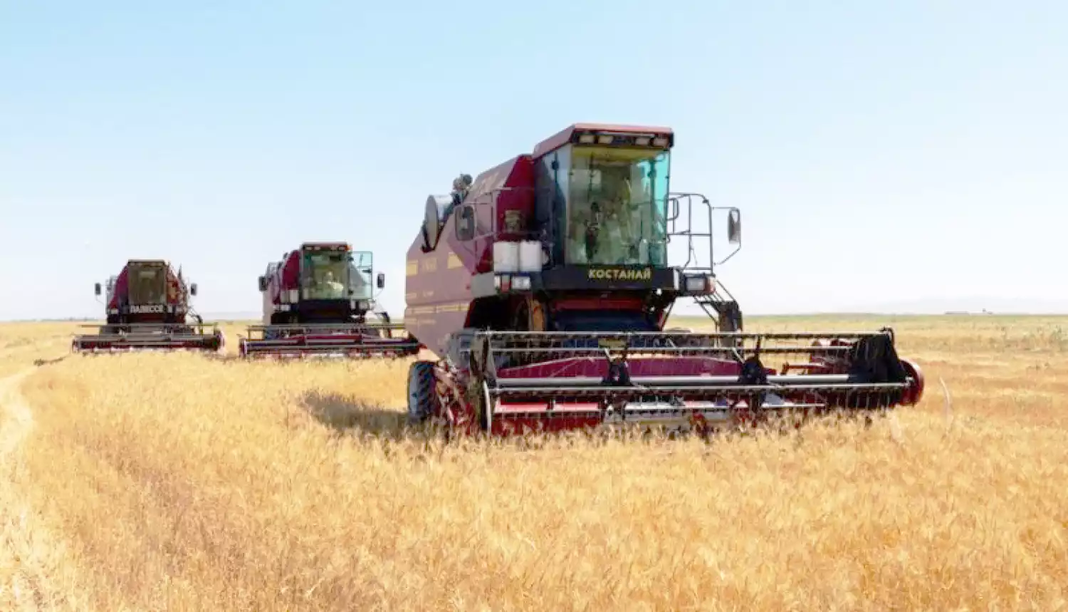 Вырастили урожай