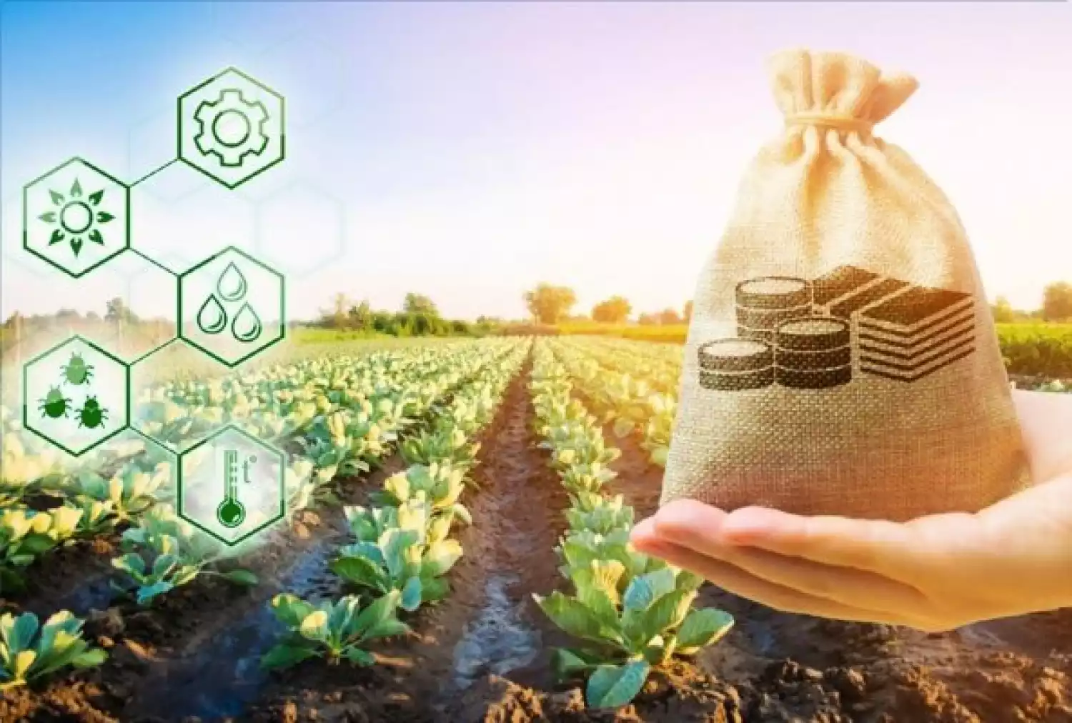 Инвестиции в отрасль