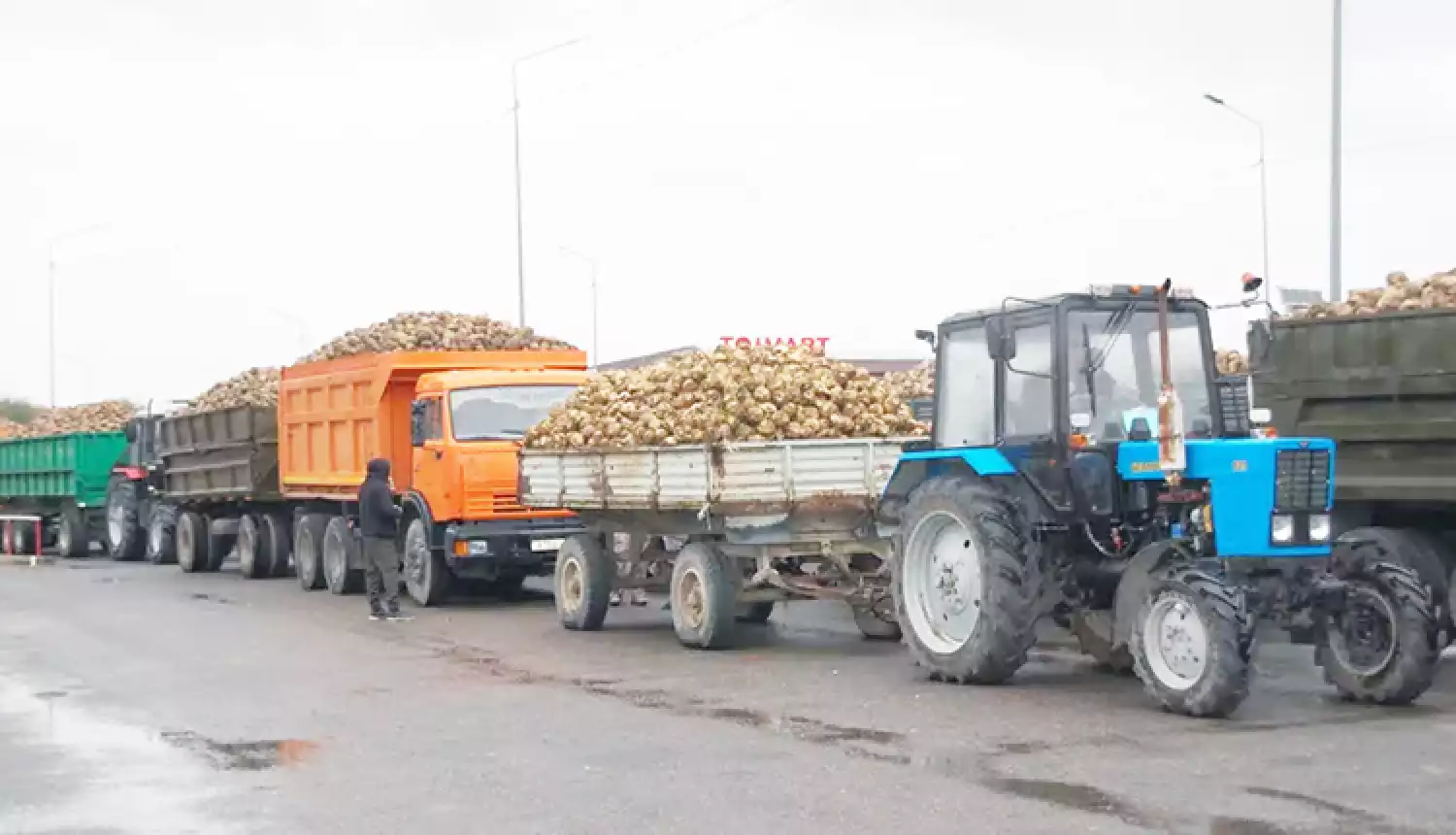 Переработать каждый корнеплод
