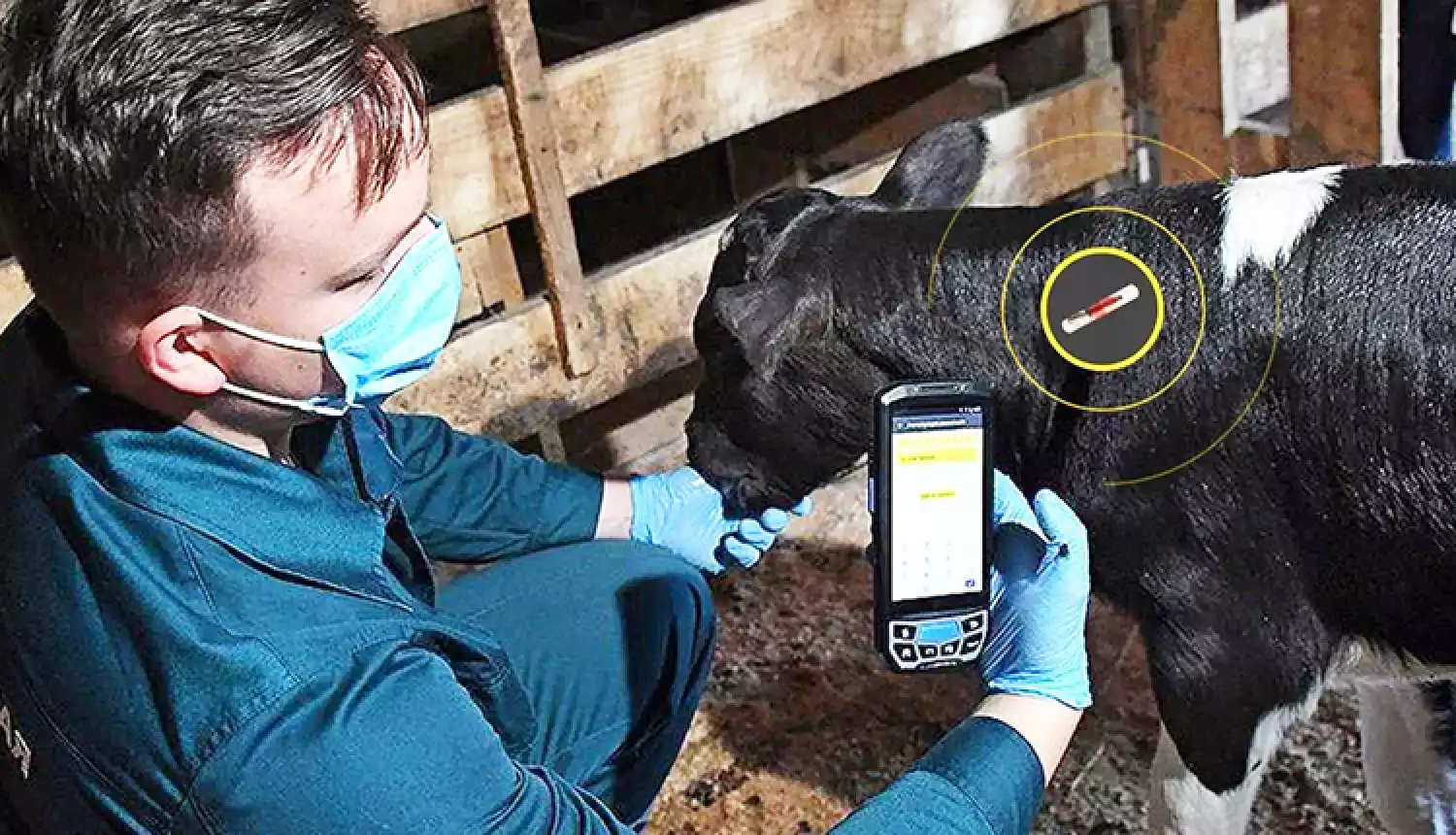 Лечат и вакцинируют