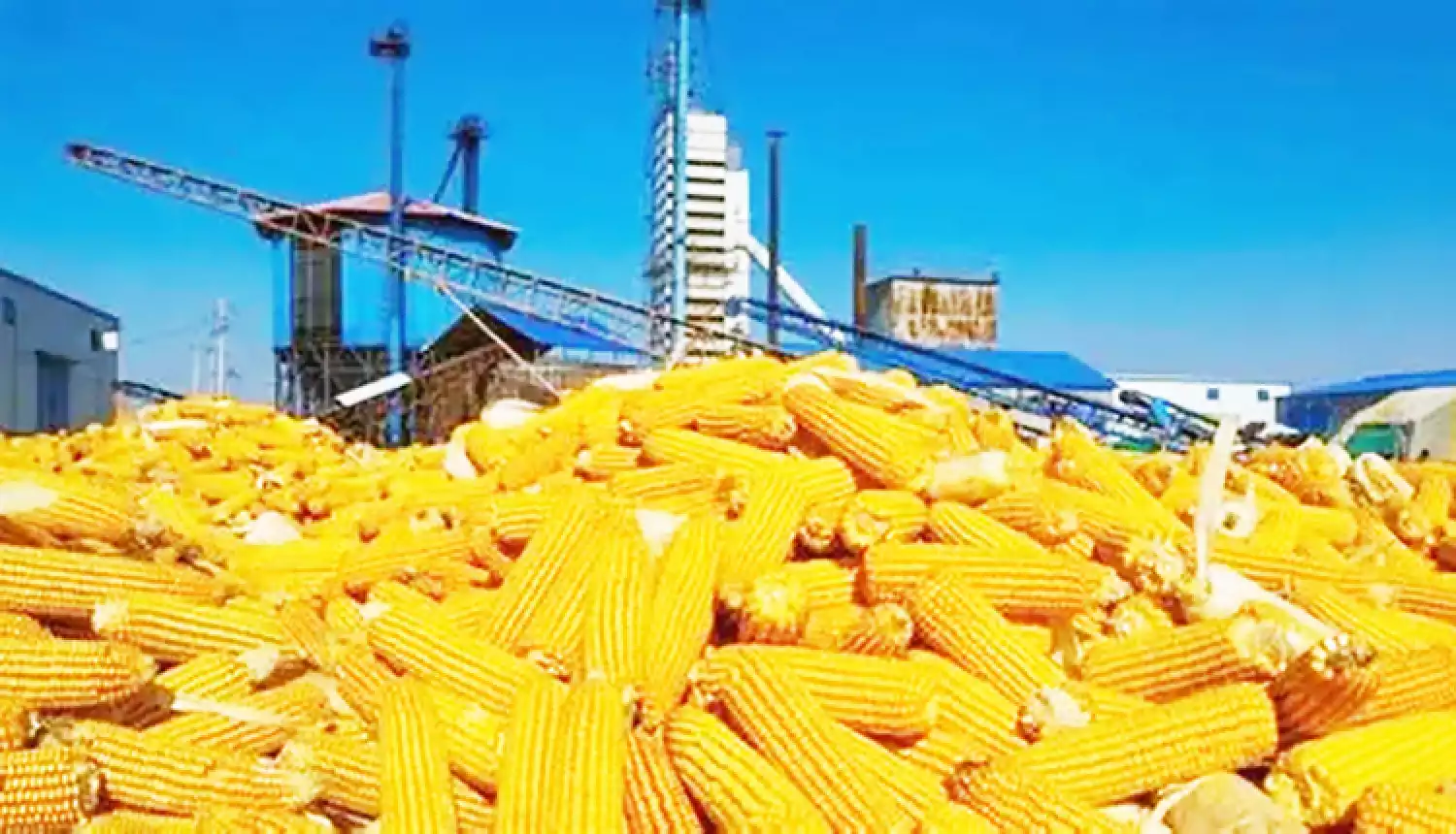 Крупное предприятие