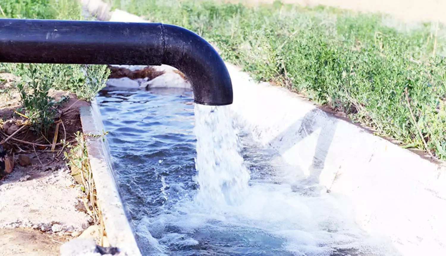 Знание - сила!