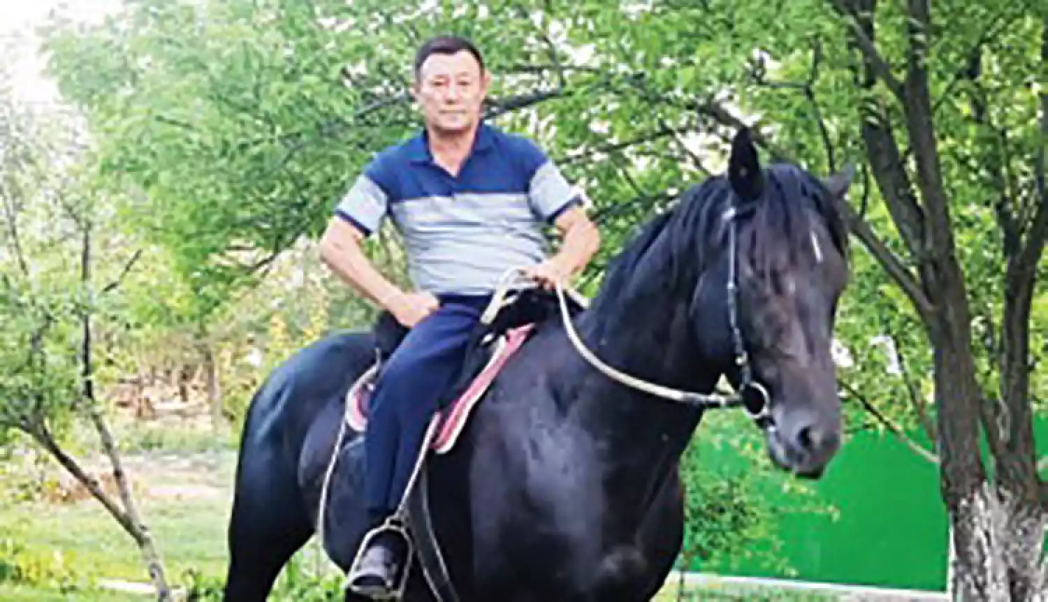 Мастер своего дела