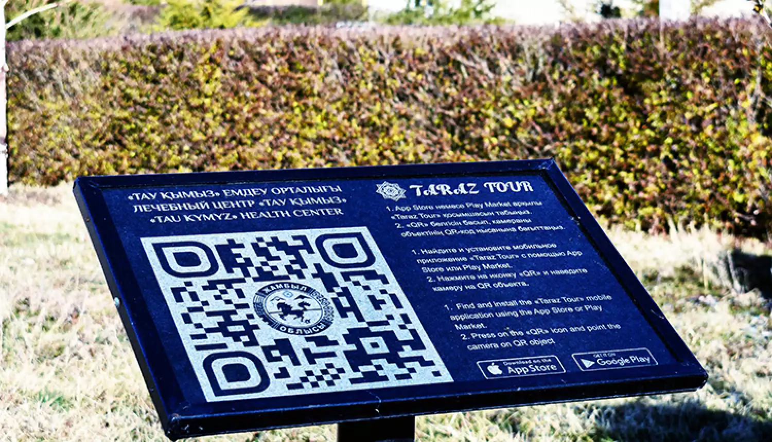 Цифровизация в культуре