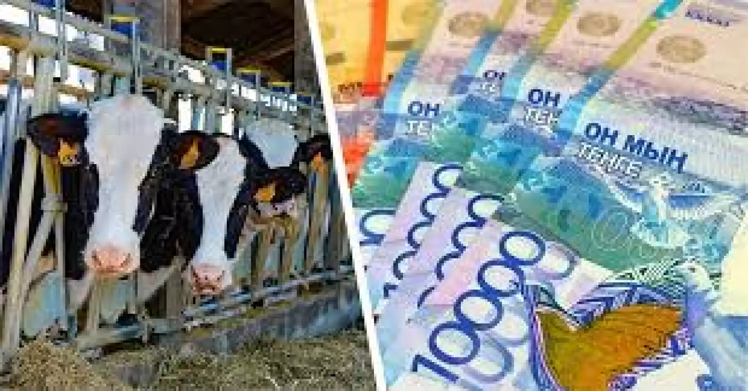 В целях погашения задолженности