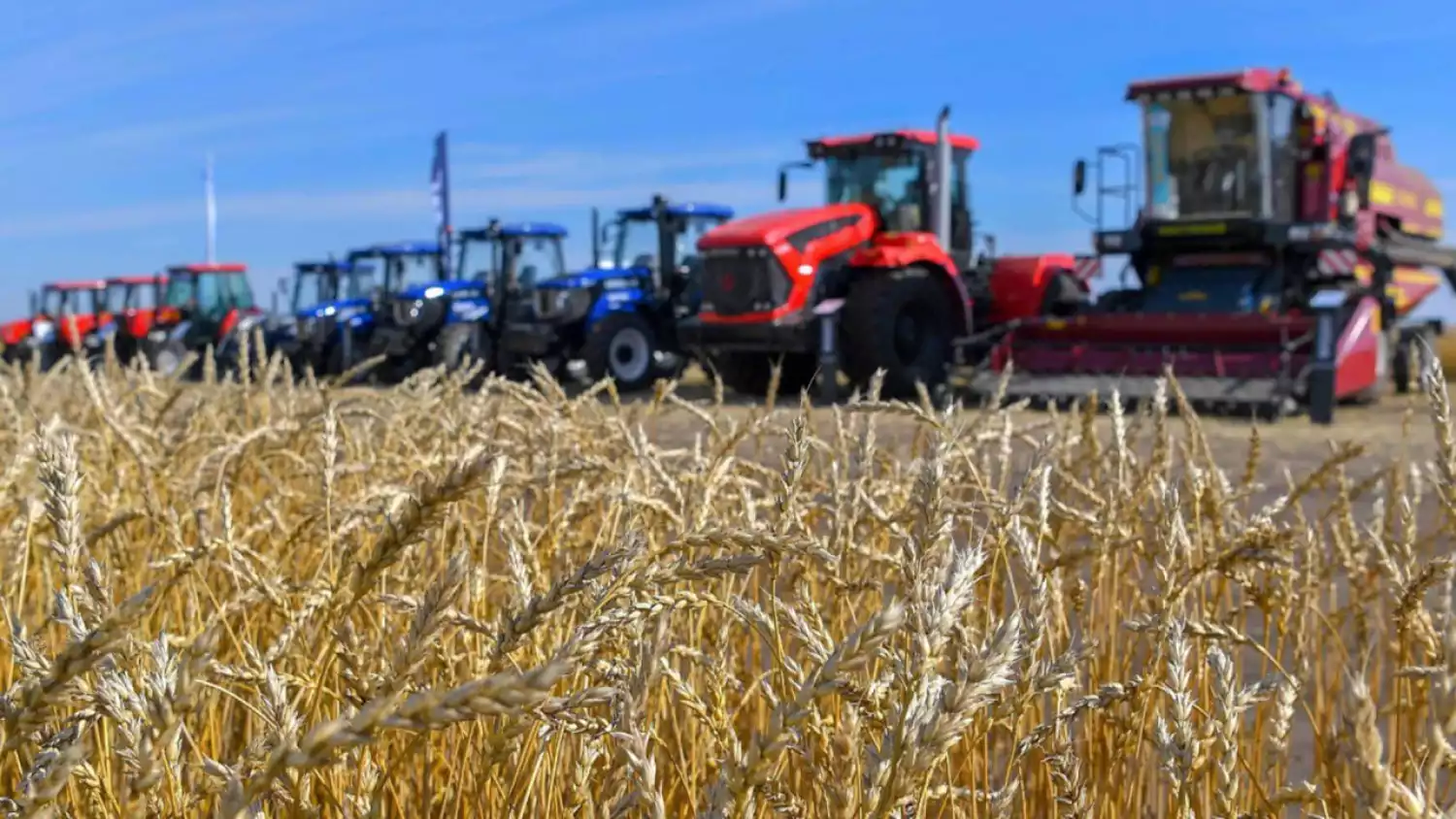 Аграрный сектор показал рост: валовый выпуск увеличился на 6,1%