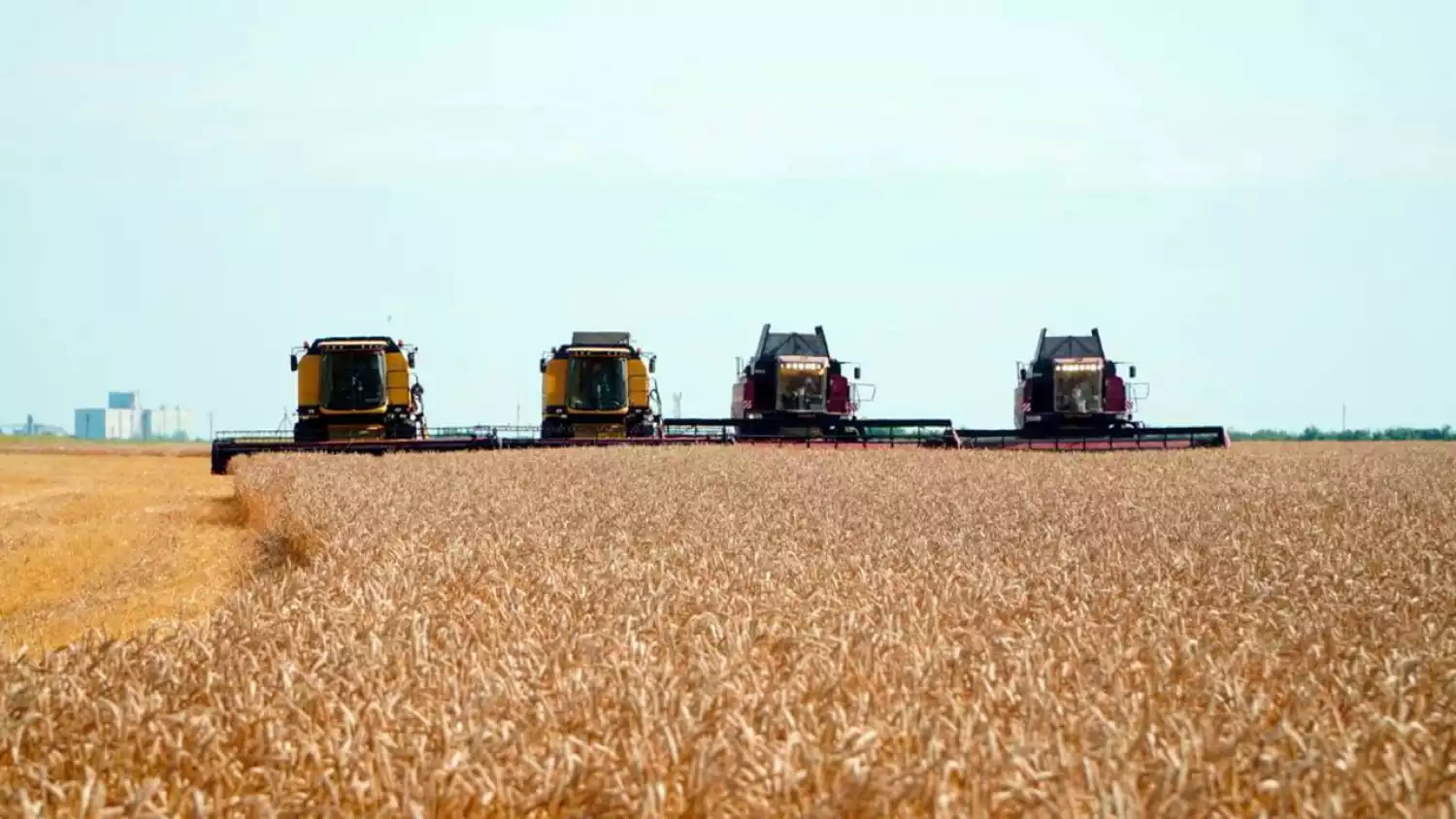 В Казахстане стартует программа кредитования элеваторной инфраструктуры