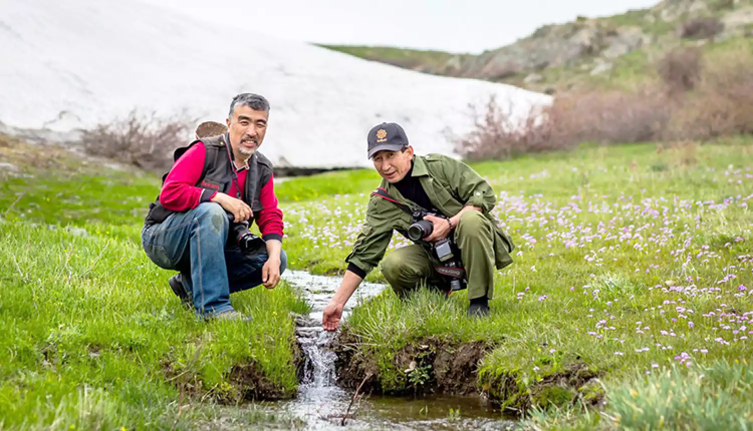 Браво талантам