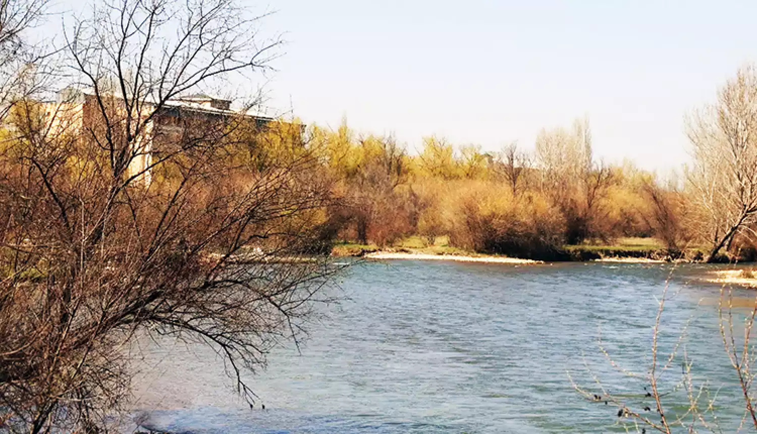 В границах дозволенного