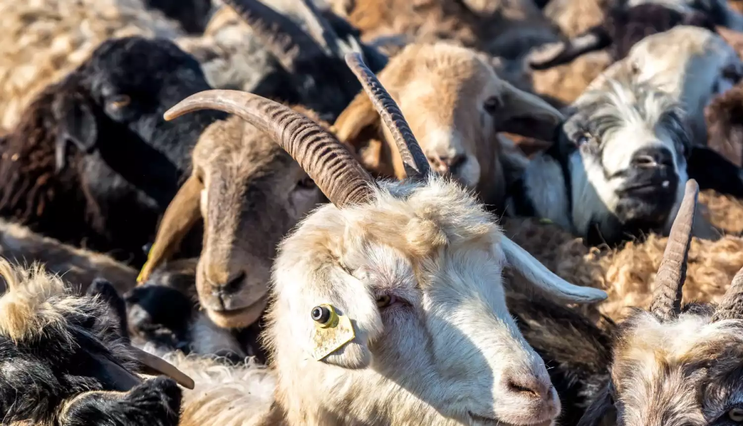 Общая трансформация