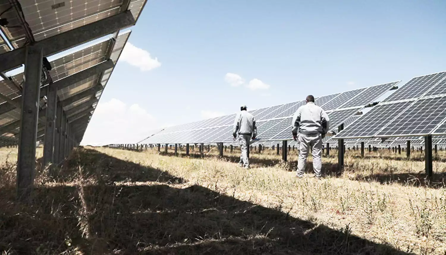 Путь к «зелёному» процветанию