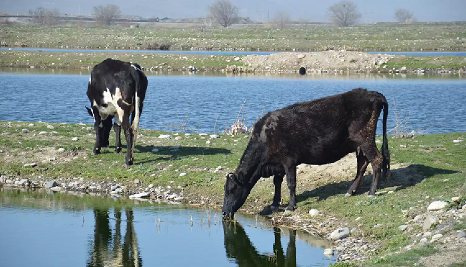 Гарантия безопасности