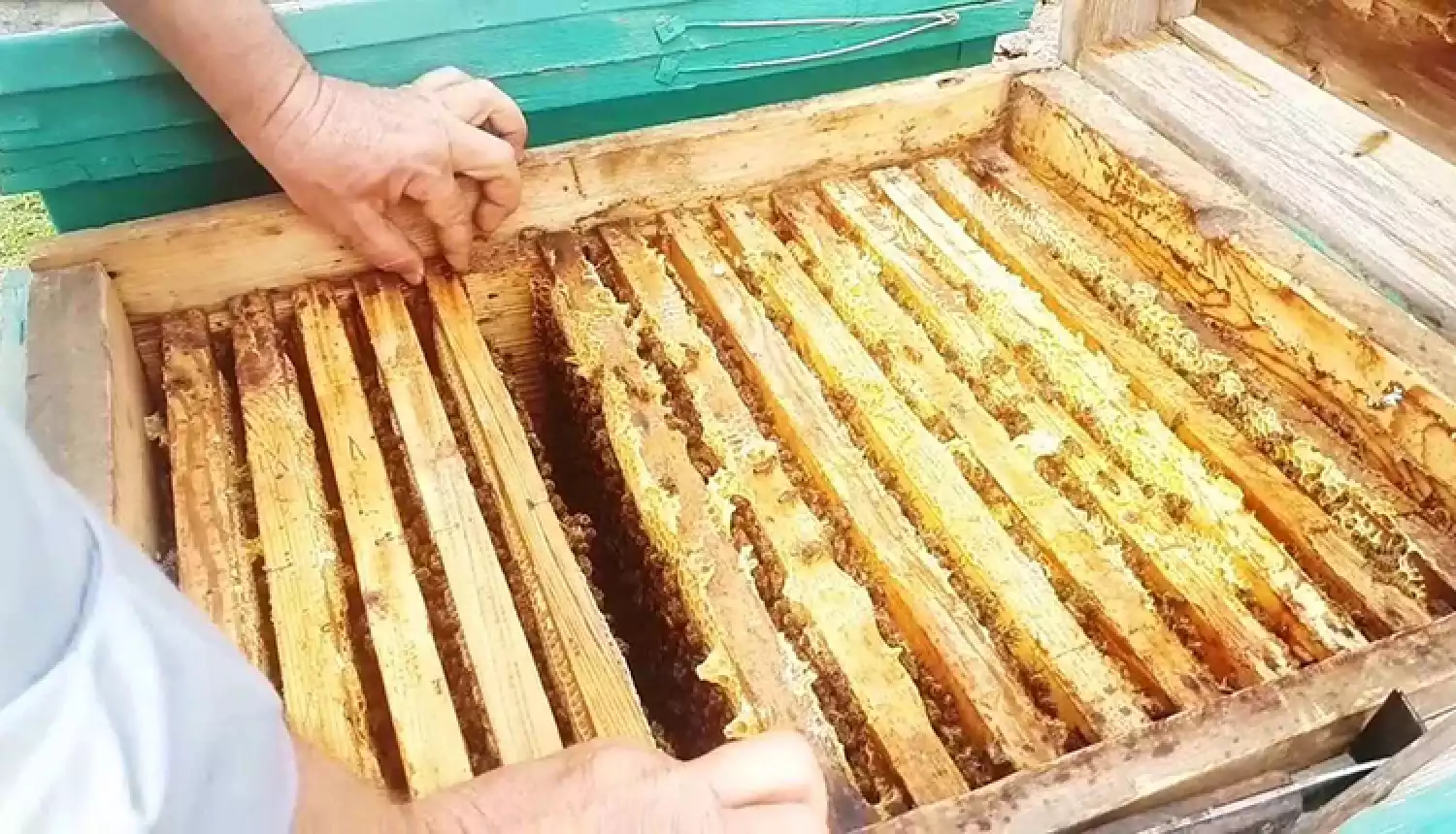 На мёд должны быть документы