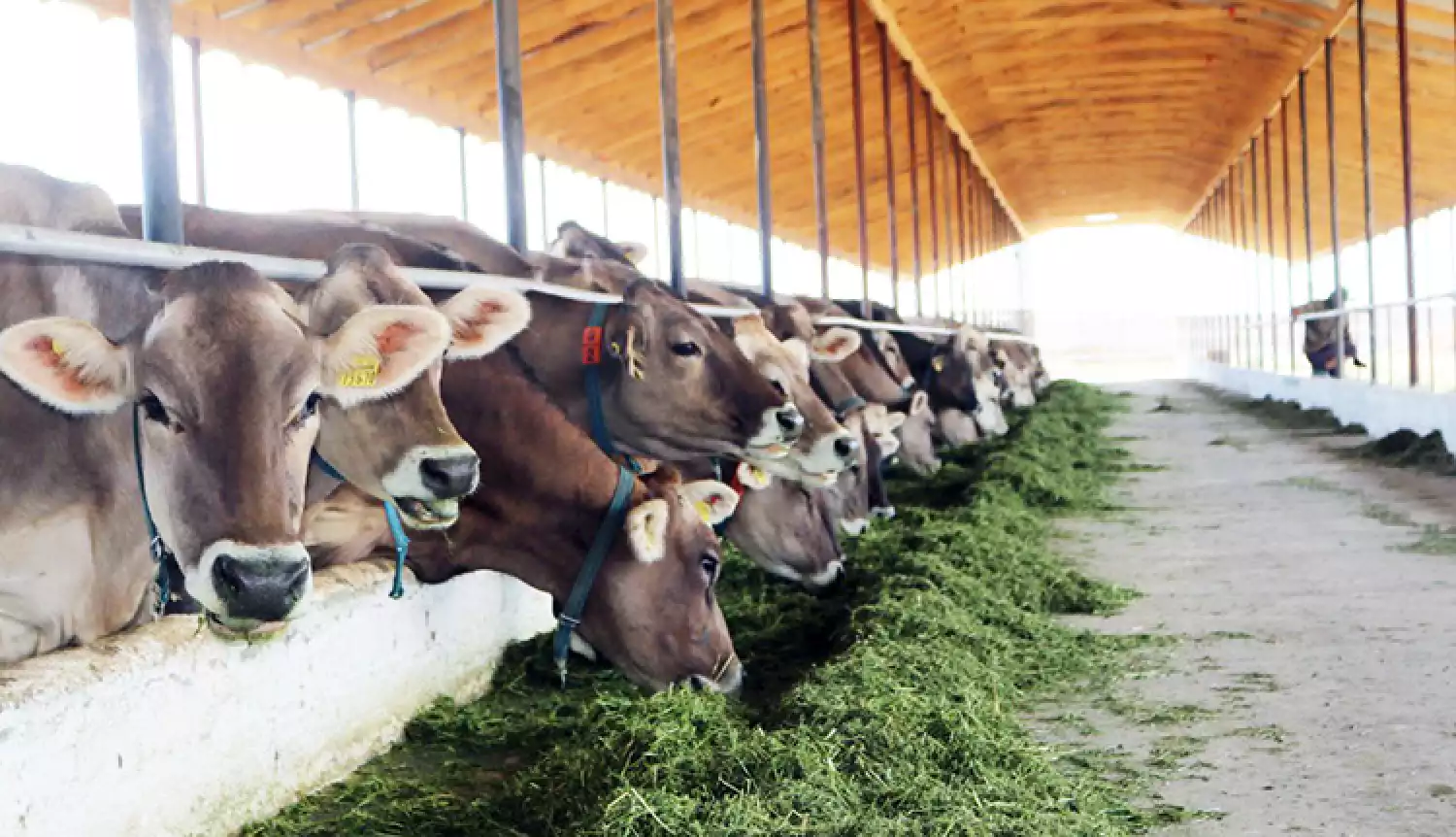 Раскрыть потенциал отрасли