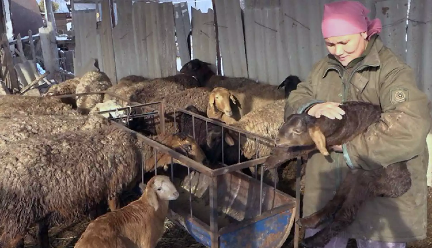 Основа сельской жизни