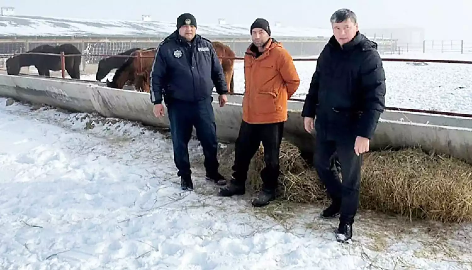 Испытание на прочность