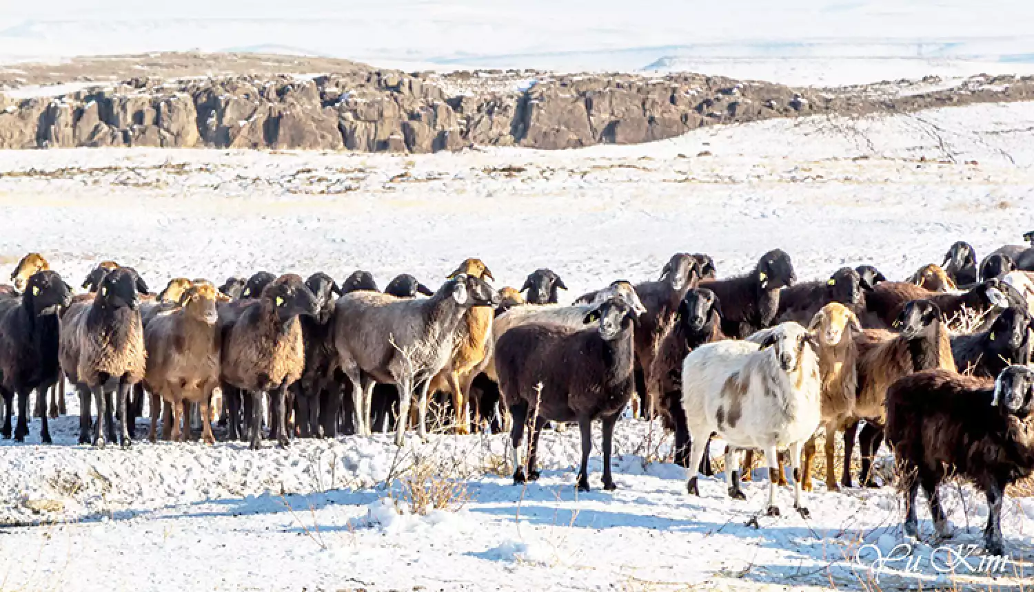 Экзамен для фермеров