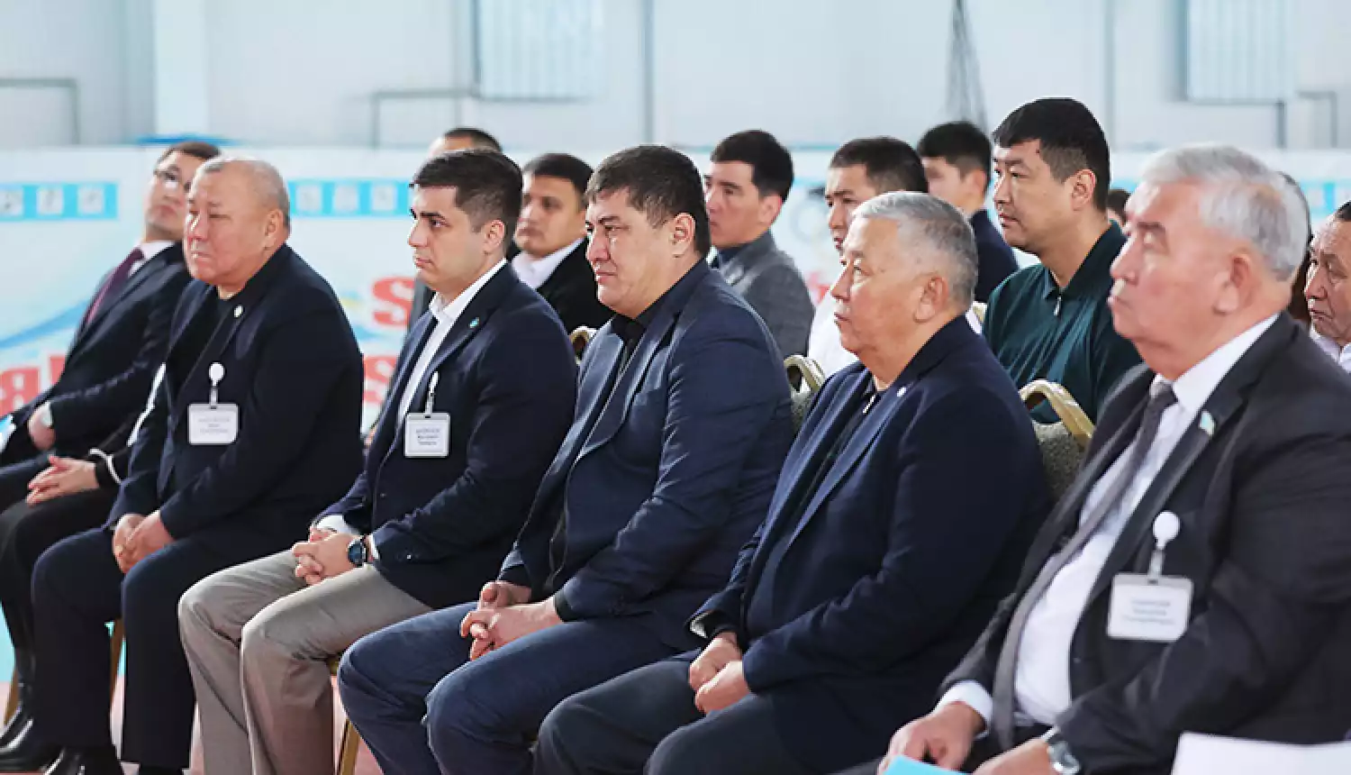 Политическая модернизация