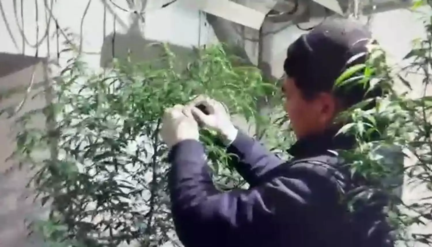 Уйти от зависимости