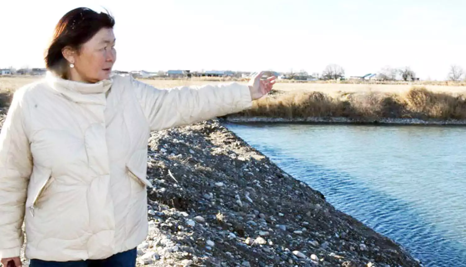 Рыбы - пруд пруди