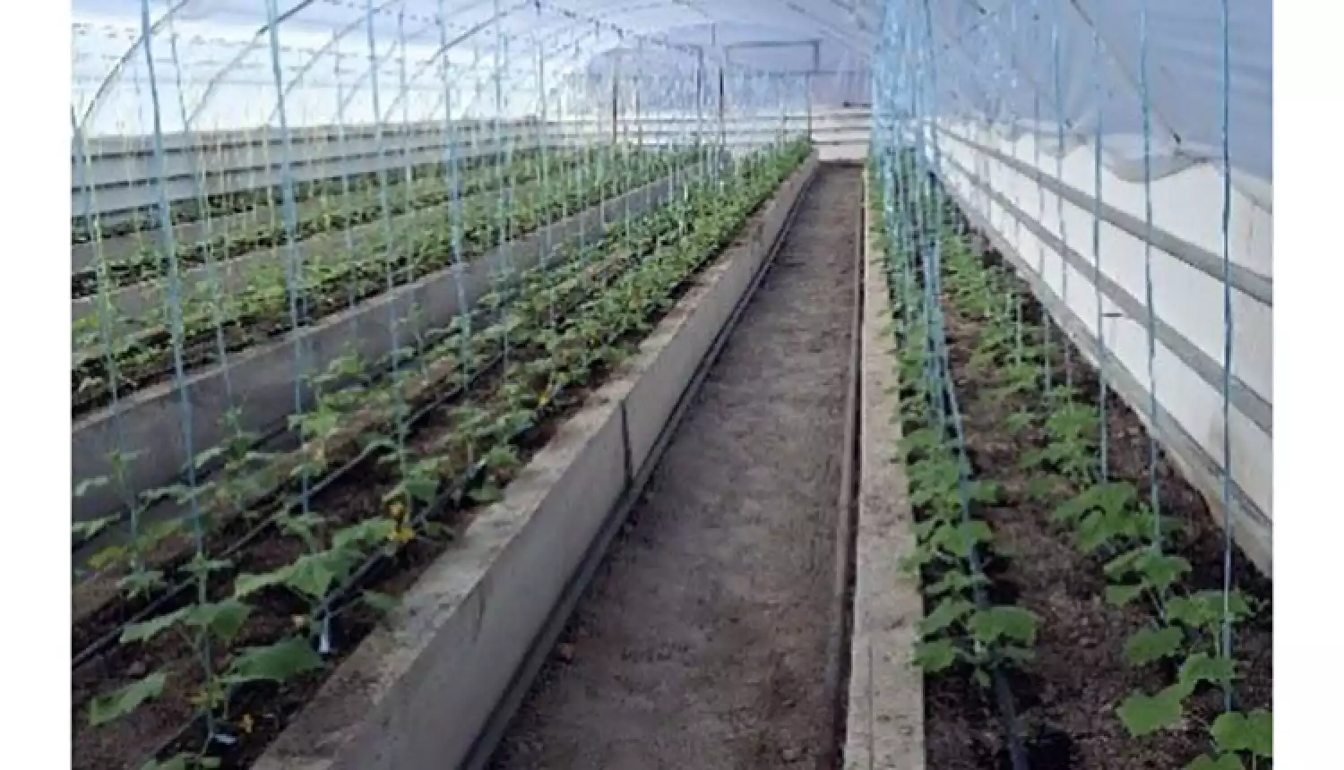 Истории успеха