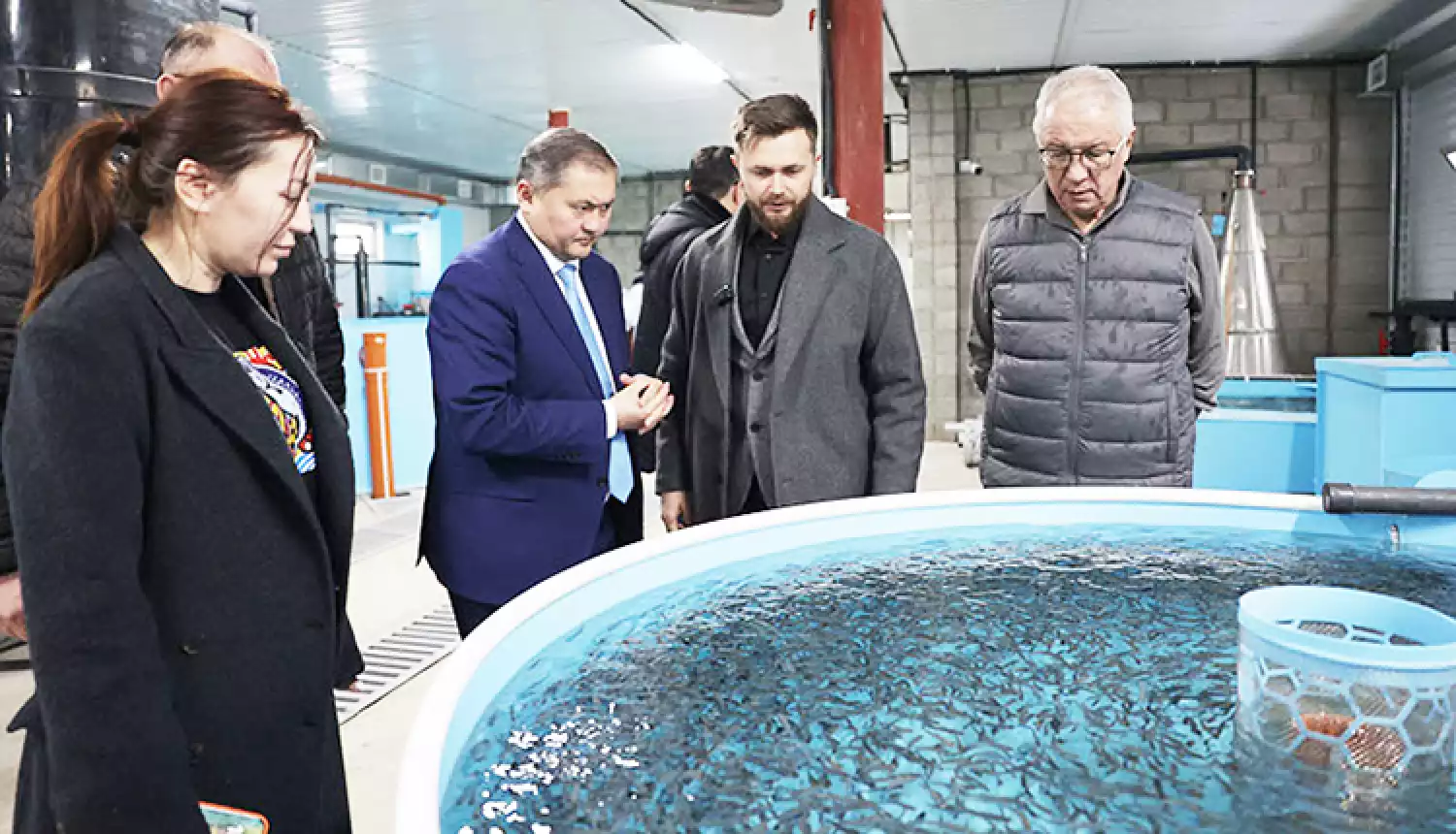 От учёбы до производства