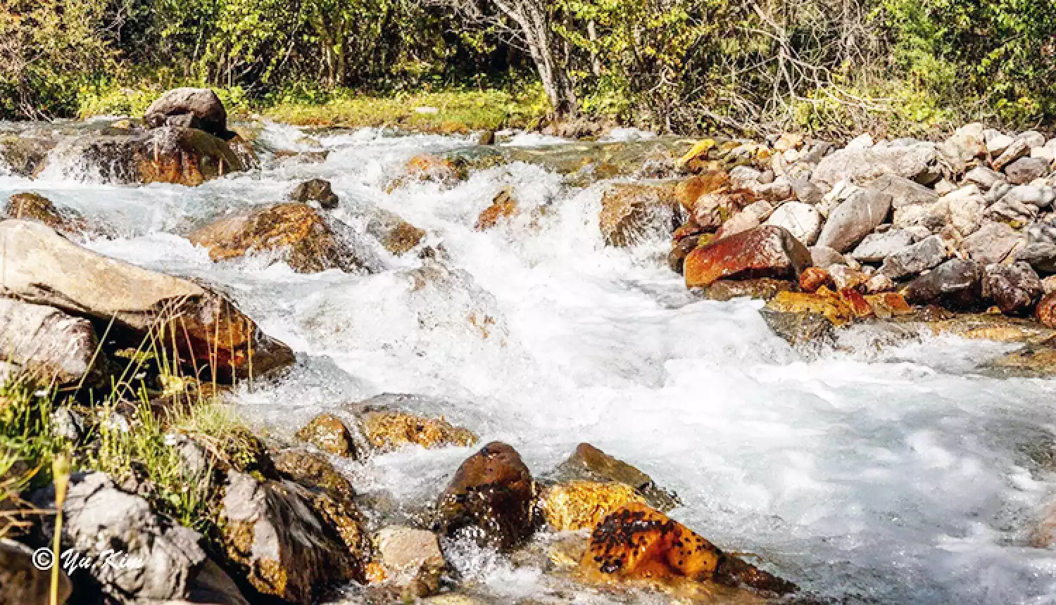 Чтобы не было беды