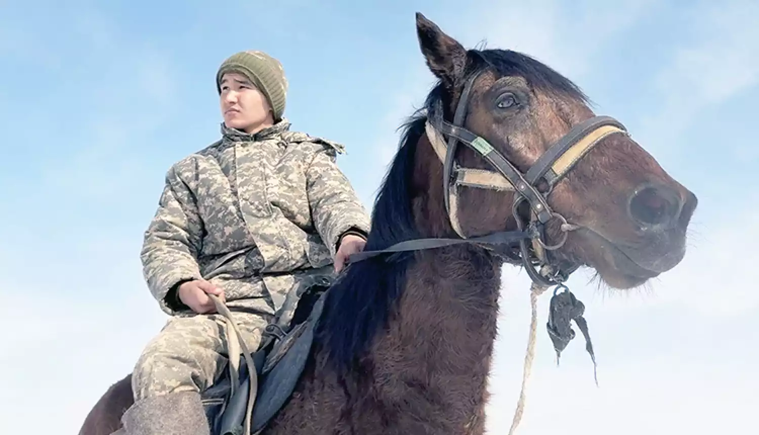 Важно обуздать боевого коня