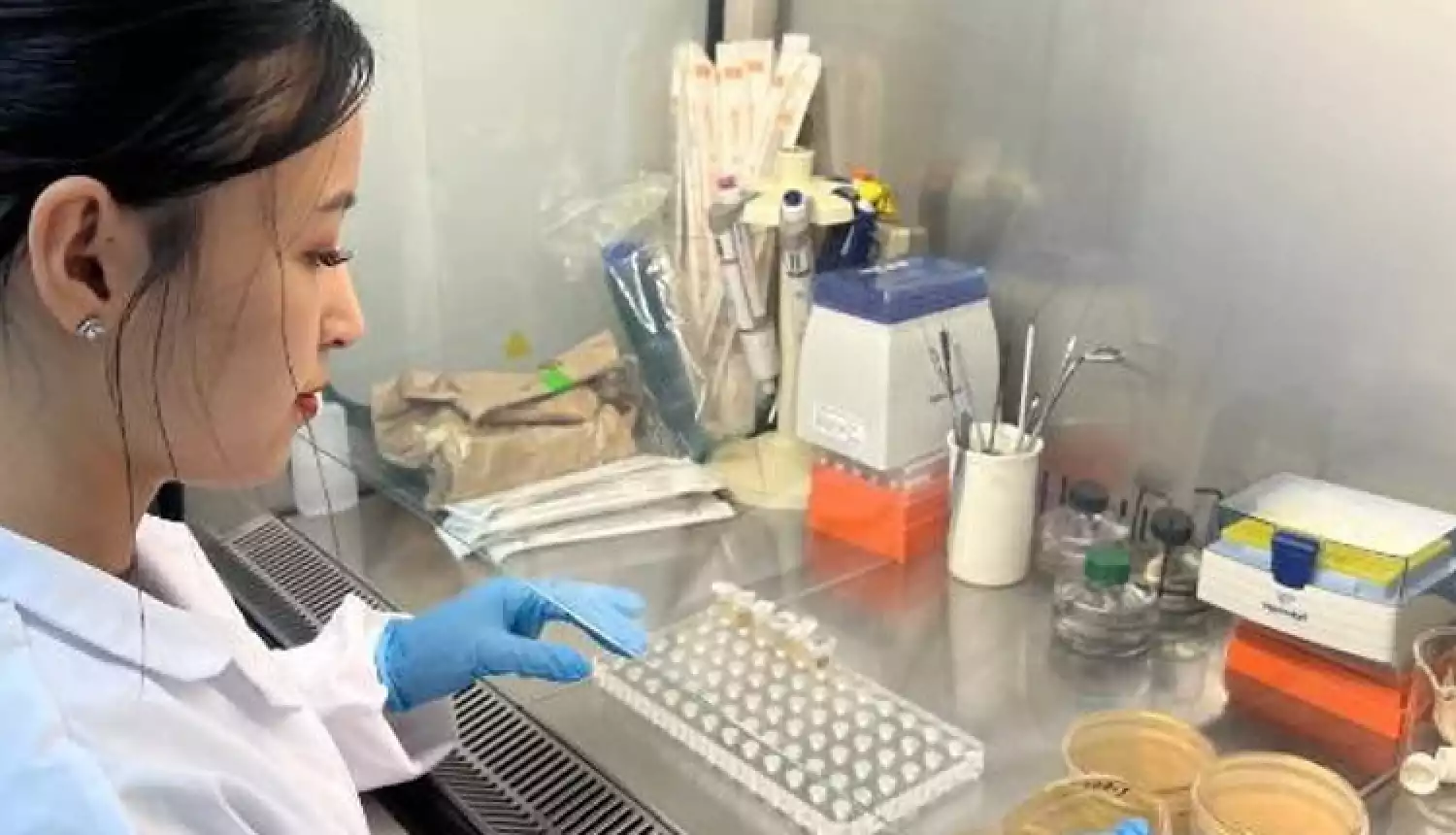 Отечественный продукт