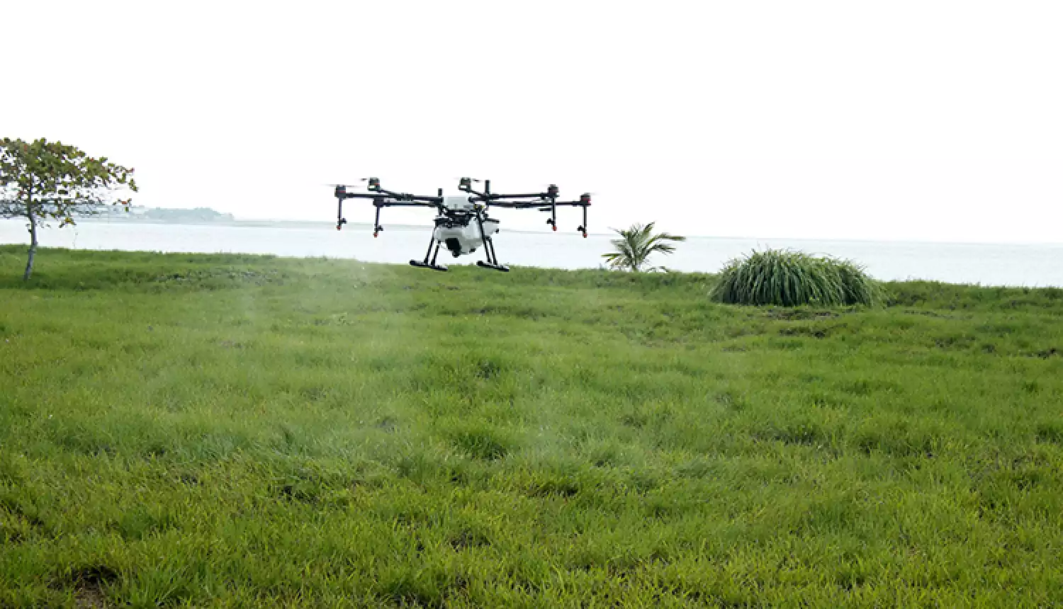 Стратегический проект