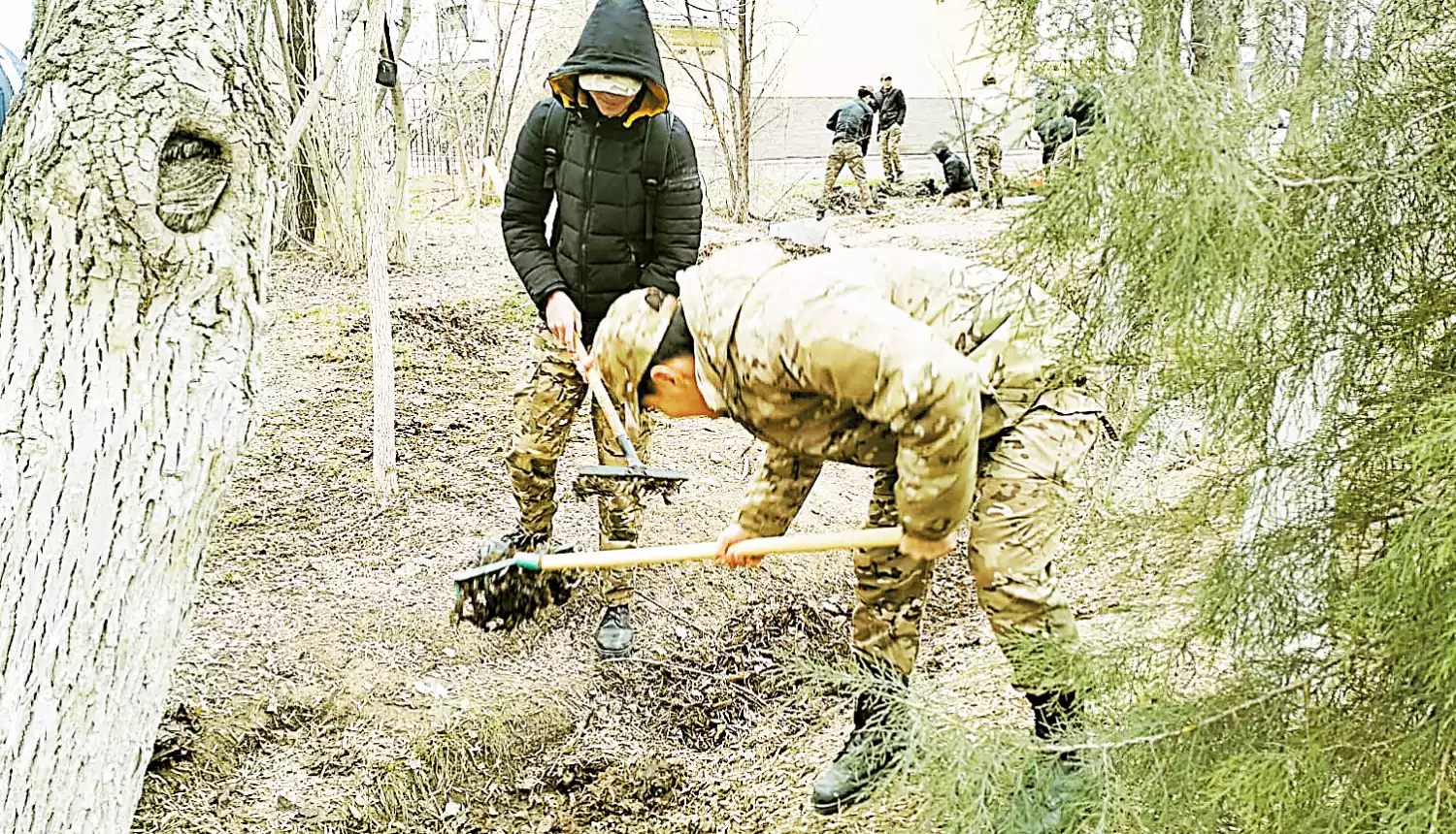 Чистая среда