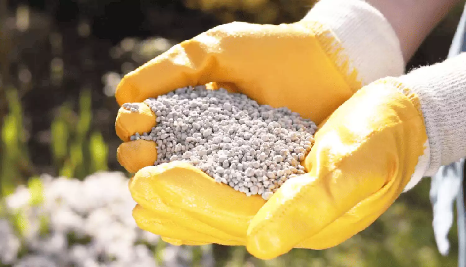 Ключевой сектор