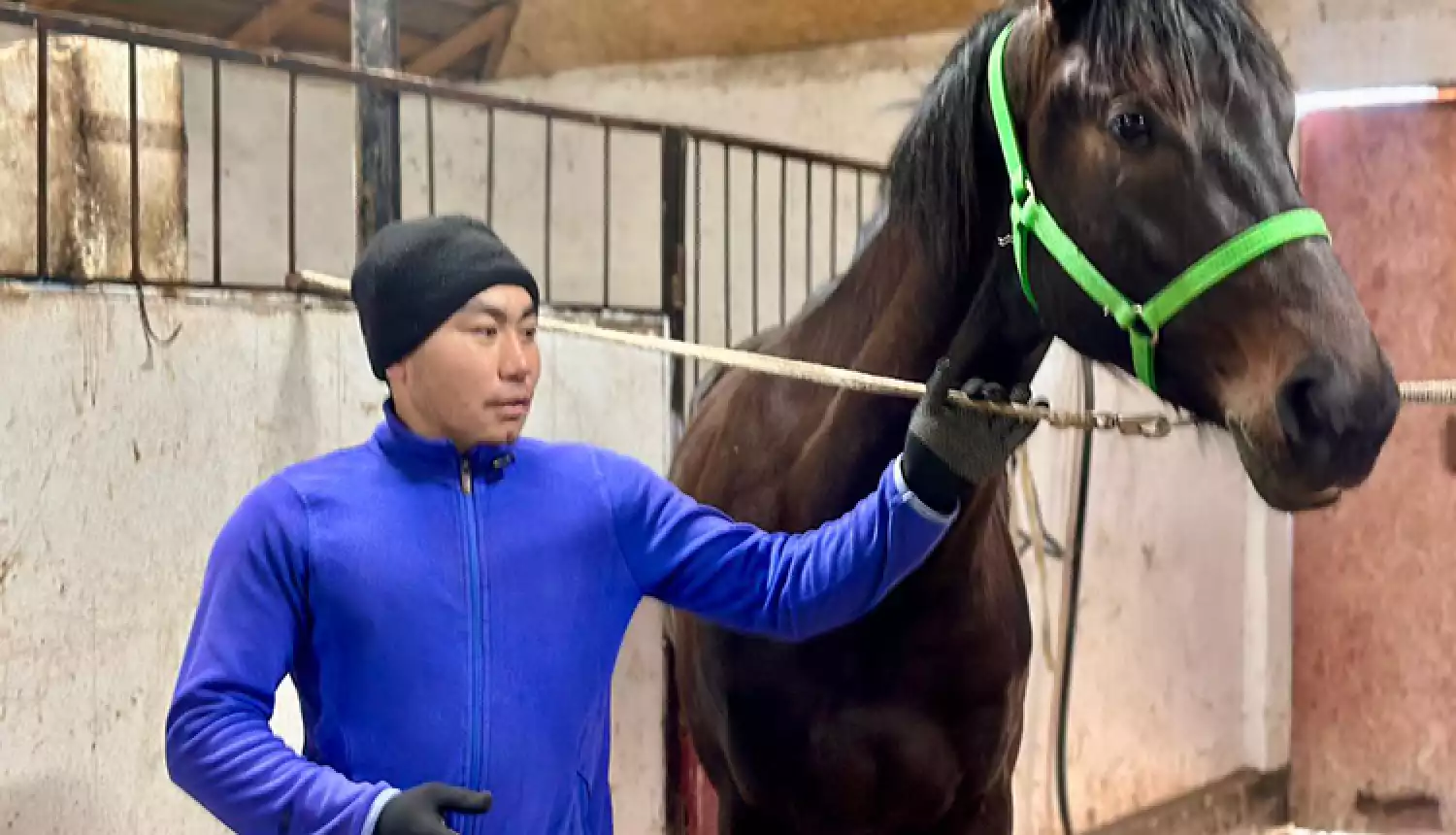 Бережёт и лошадь, и традиции