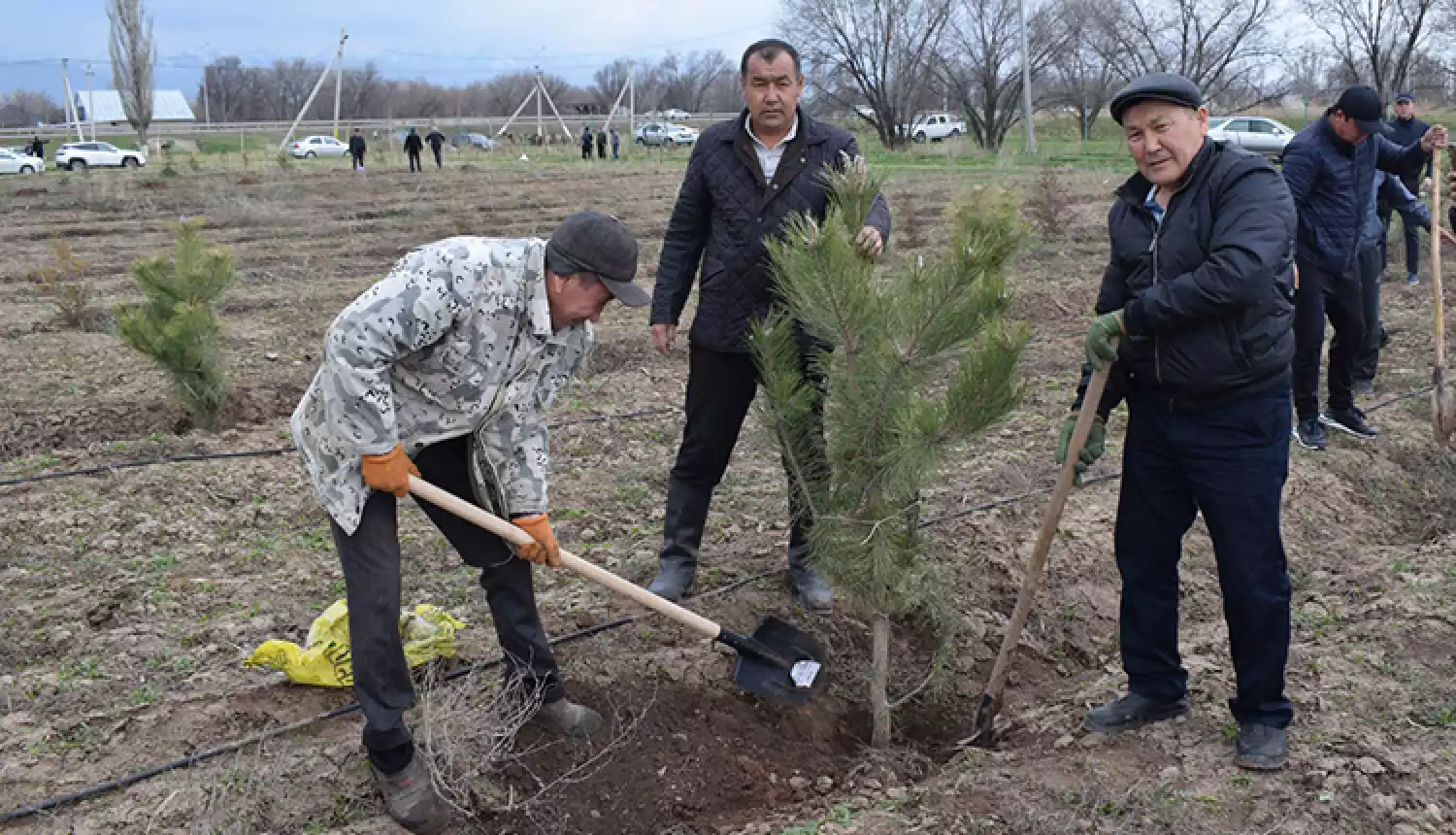 С заботой о крае
