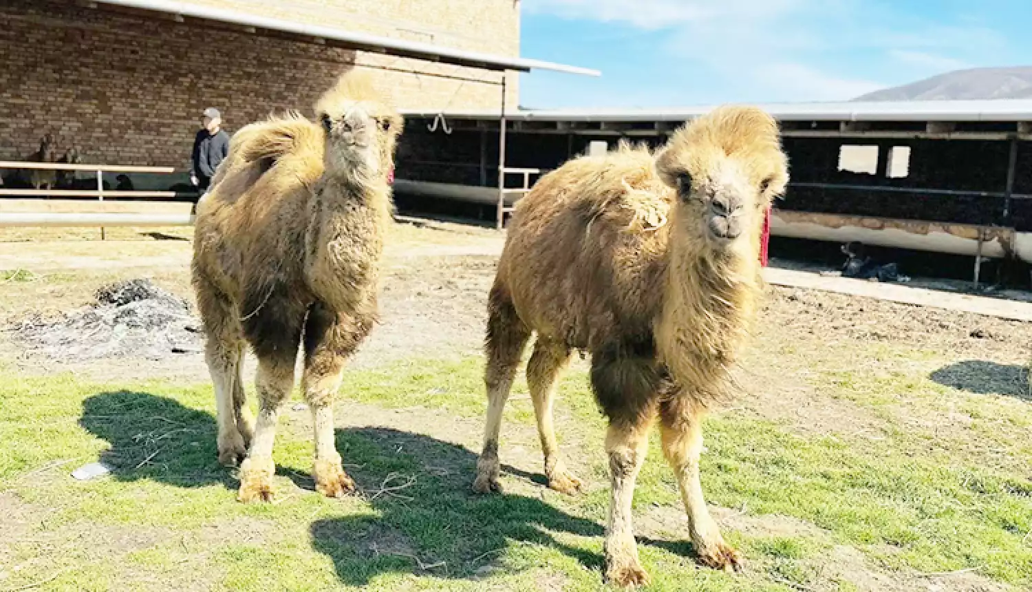 Здесь живут в достатке