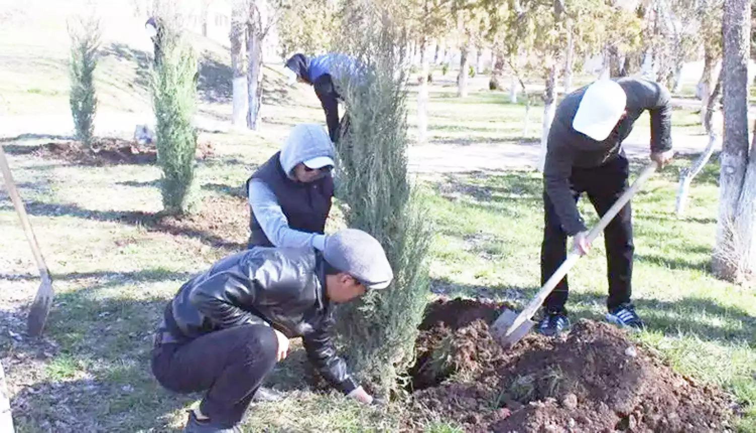 Вопросы озеленения под контролем