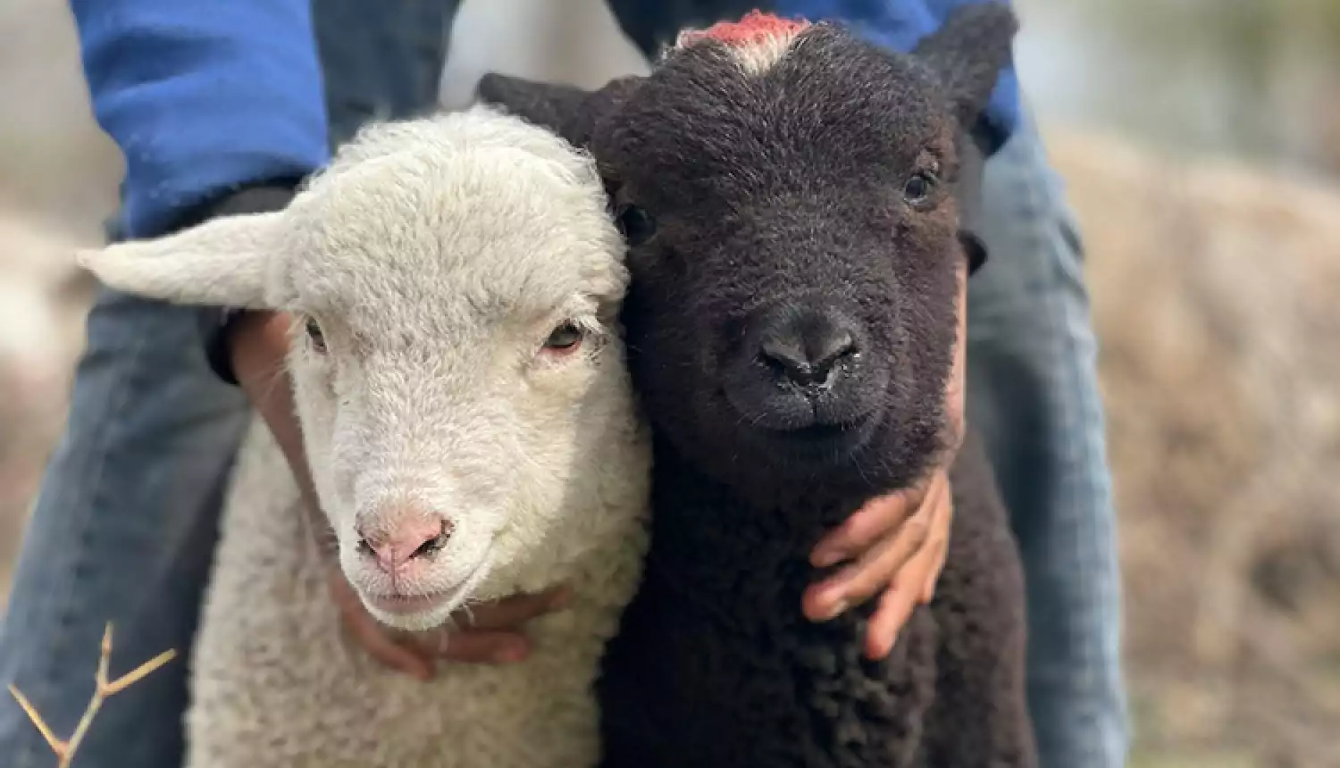 Ответственный период