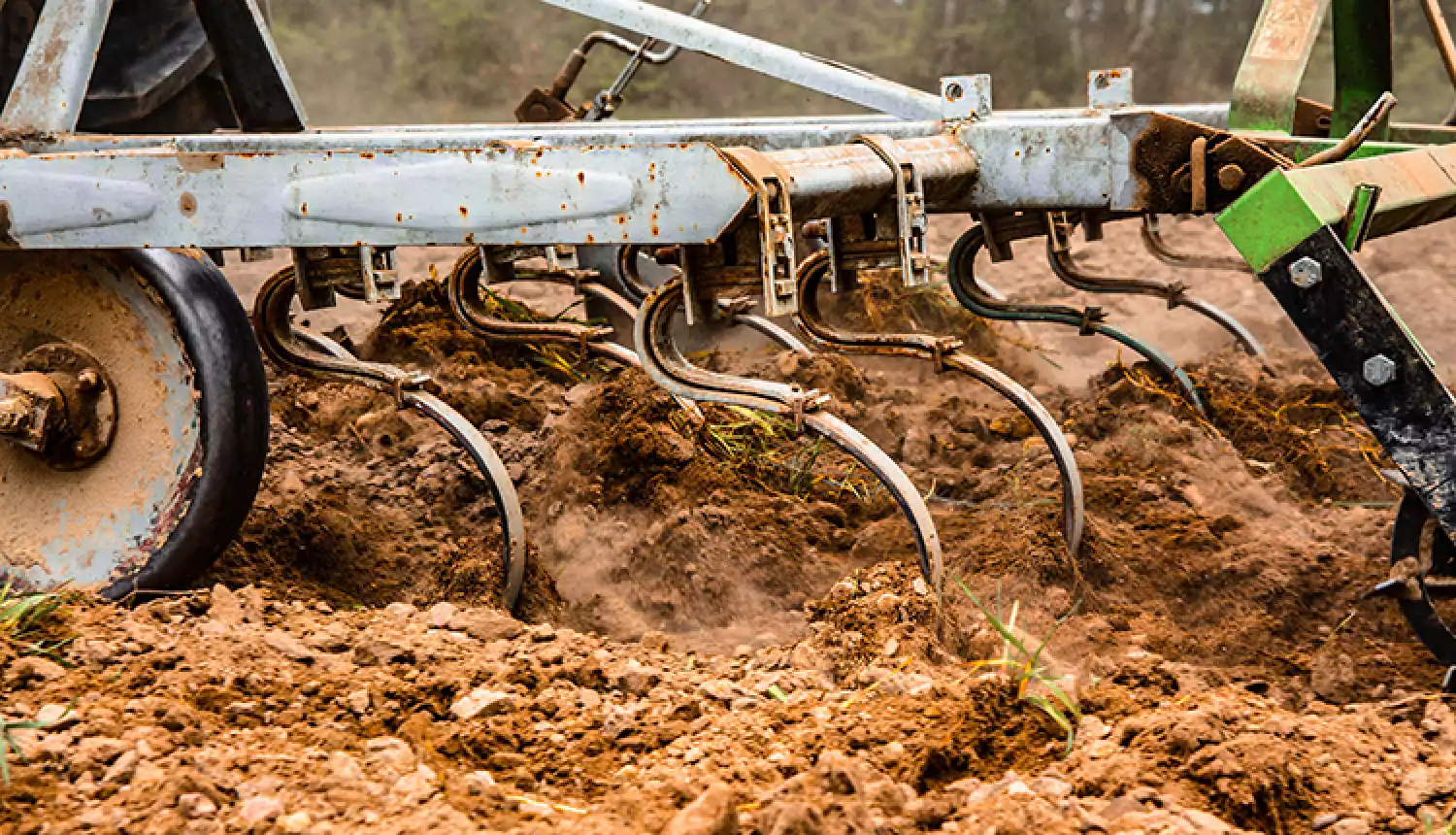 Накормить кормильцев