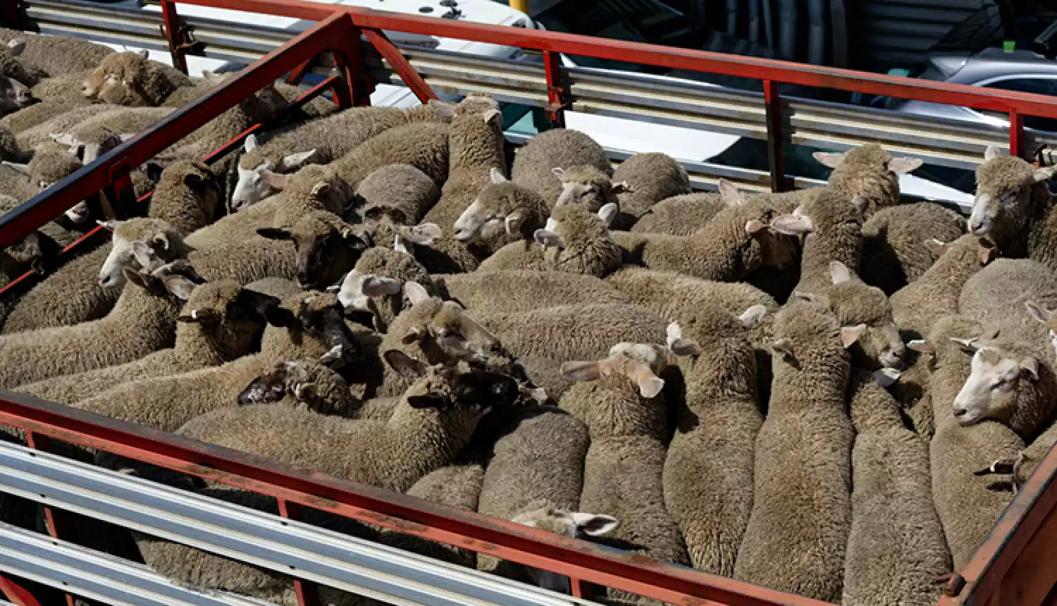 Мониторинг и профилактика