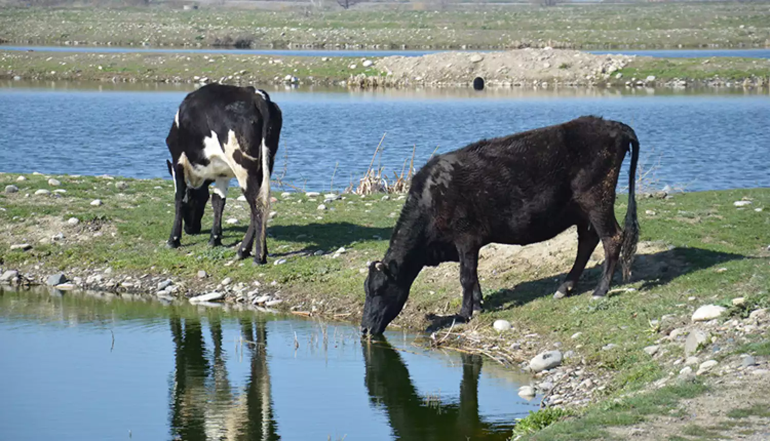 Здоровье в приоритете