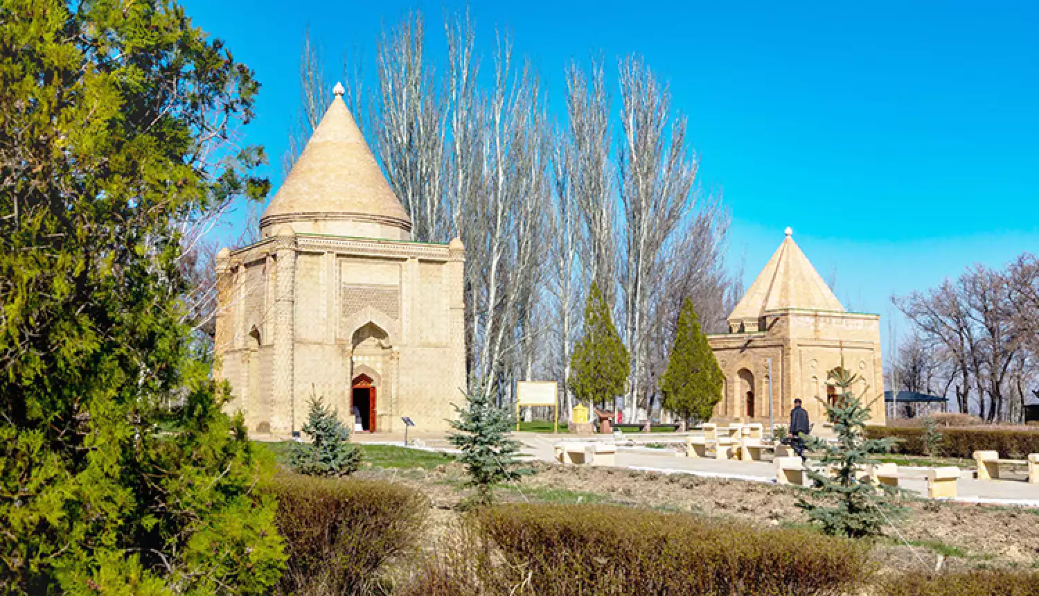 Живая история тысячелетий